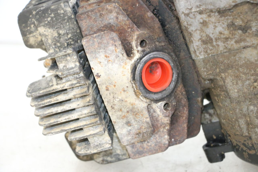 photo de ENGINE YAMAHA PW 80 (1983 - 2014)