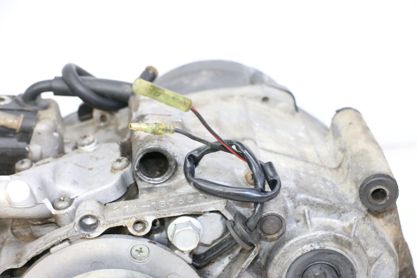 photo de ENGINE YAMAHA PW 80 (1983 - 2014)