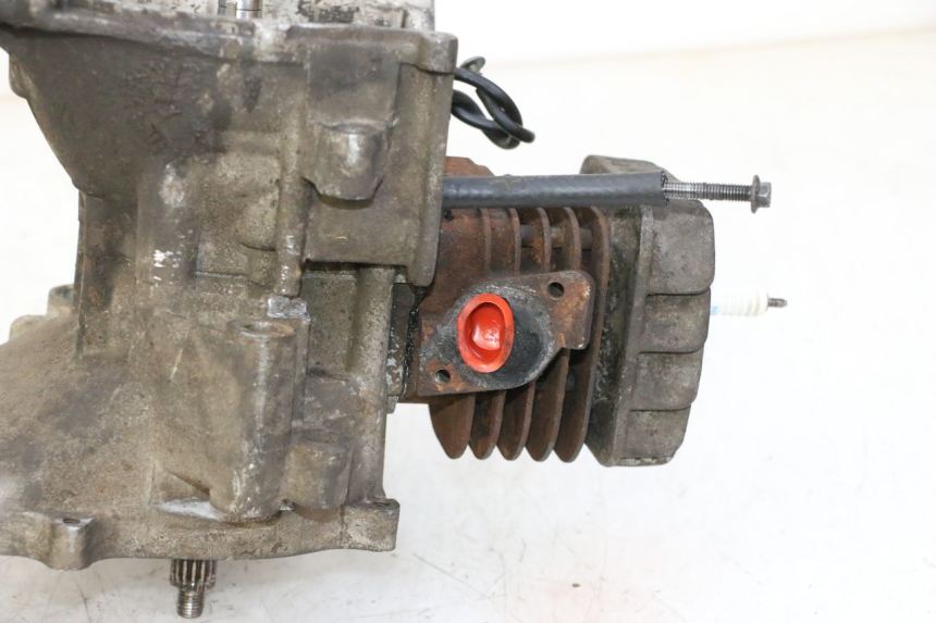 photo de ENGINE TNT MOTOR ROMA 10' 2T 50 (2011 - 2018)