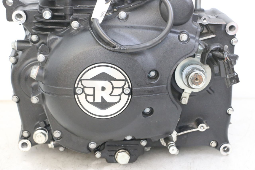 photo de ENGINE ROYAL ENFIELD HYMALAYAN 410 (2016 - 2023)