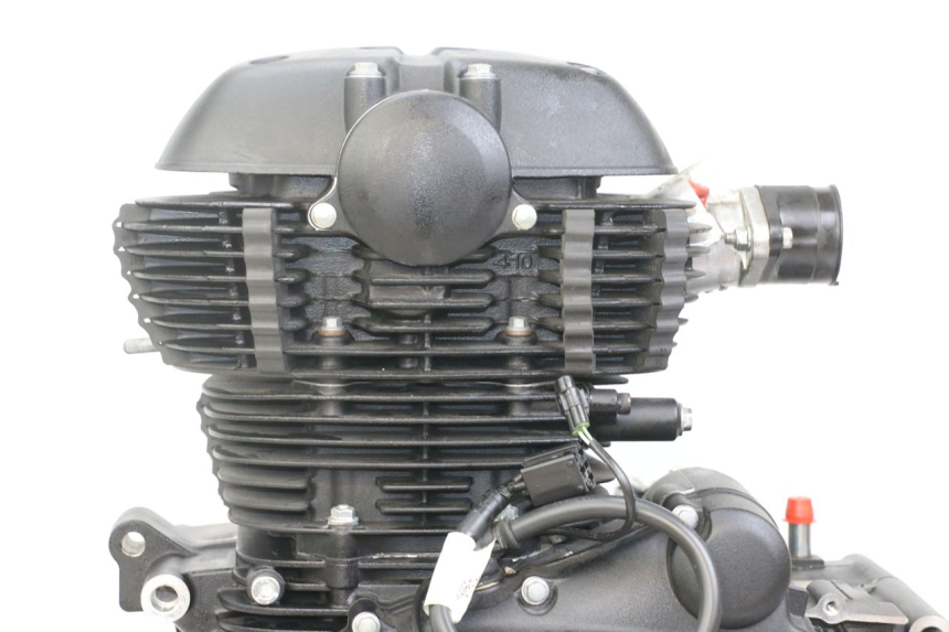 photo de ENGINE ROYAL ENFIELD HYMALAYAN 410 (2016 - 2023)