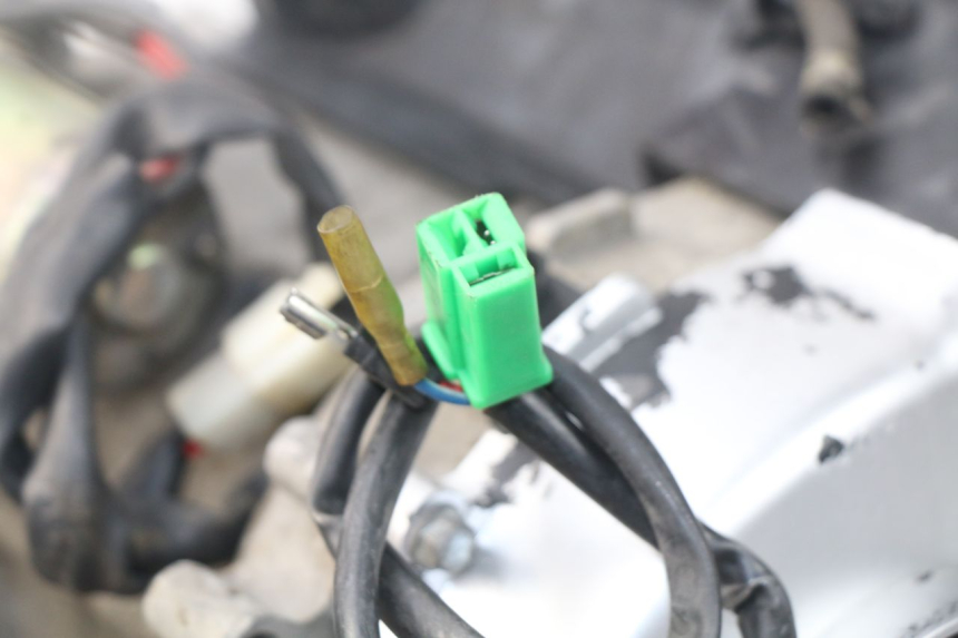 photo de ENGINE JM MOTORS SUNNY 50 (2017 - 2020)