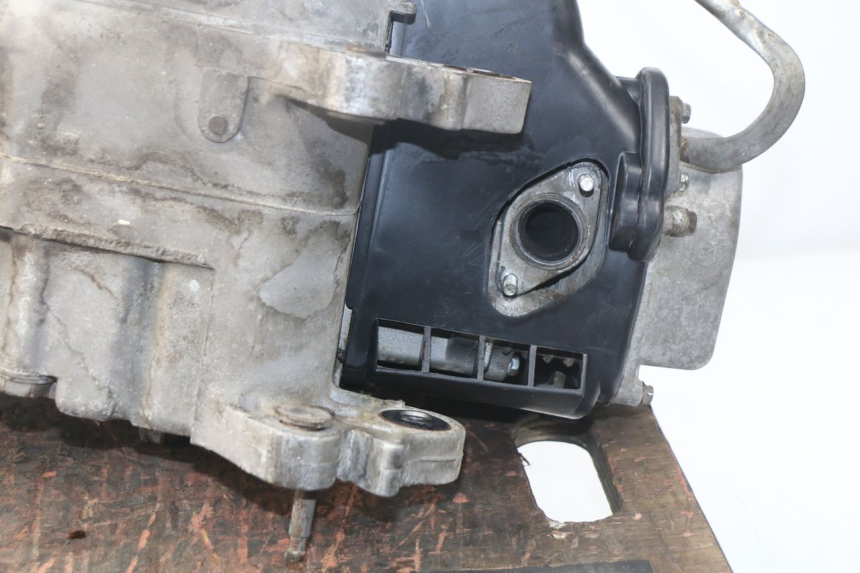 photo de ENGINE JM MOTORS SUNNY 50 (2017 - 2020)