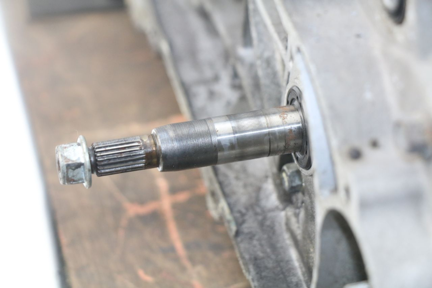 photo de ENGINE JM MOTORS SUNNY 50 (2017 - 2020)