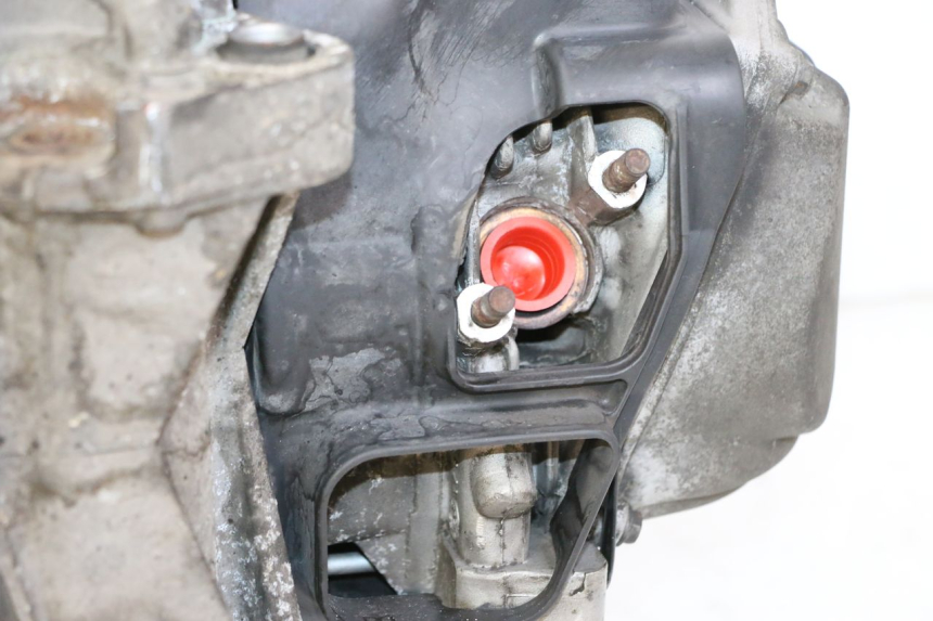 photo de ENGINE APRILIA SXR 50 (2021 - 2023)