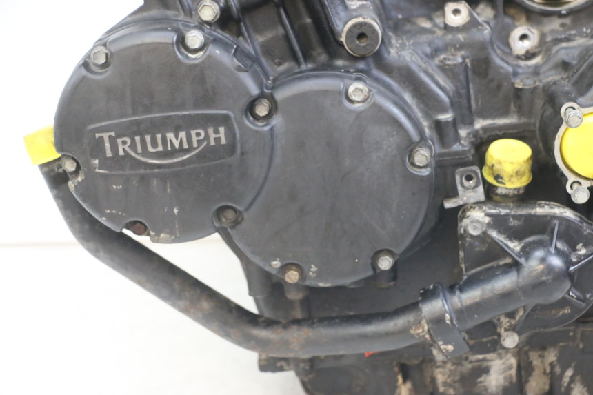 photo de ENGINE TRIUMPH SPEED TRIPLE T301 900 (1994 - 1996)