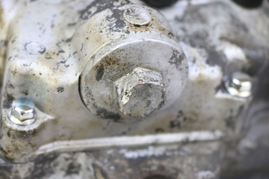 photo de ENGINE PEUGEOT TWEET PRO CARGO 50 (2018 - 2020)