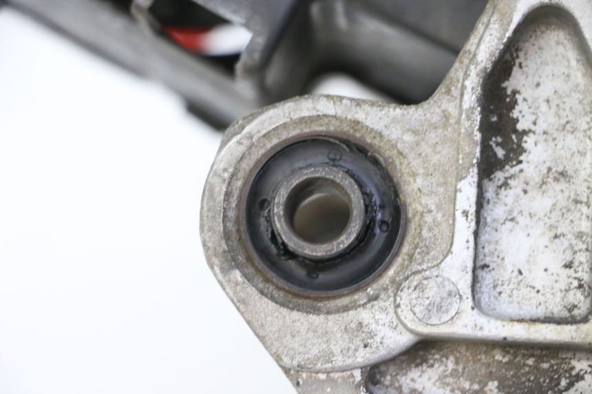 photo de ENGINE PEUGEOT TWEET PRO CARGO 50 (2018 - 2020)