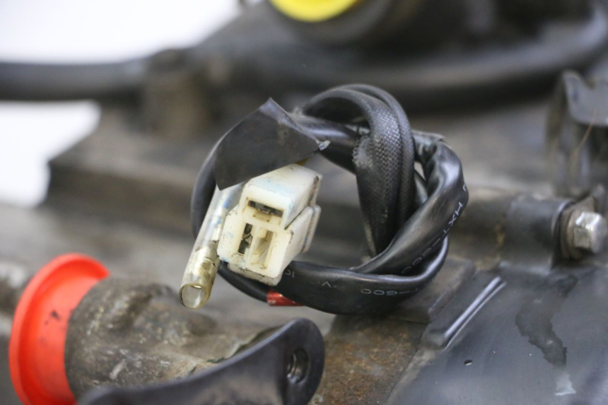 photo de ENGINE PEUGEOT TWEET PRO CARGO 50 (2018 - 2020)