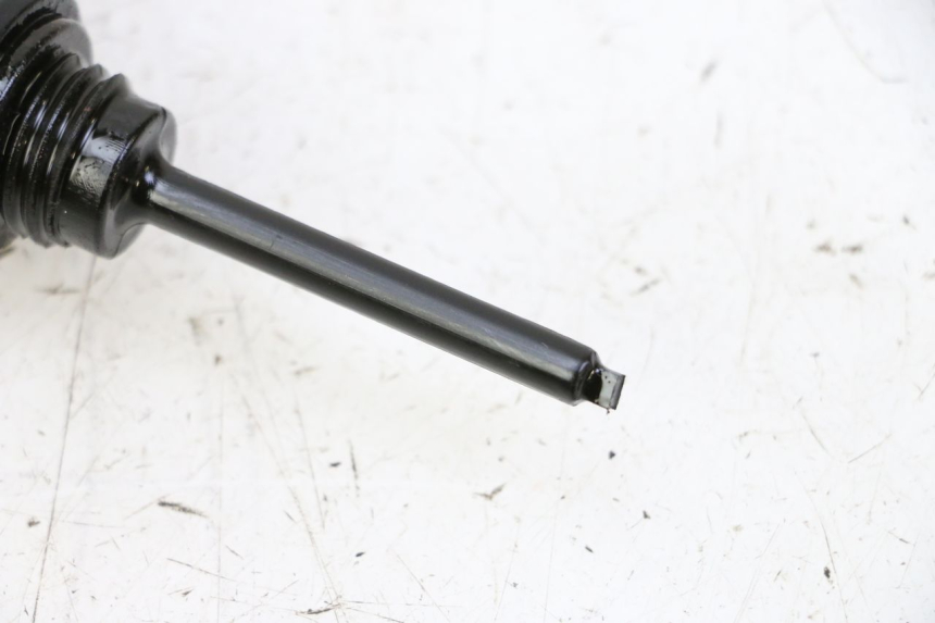 photo de ENGINE PEUGEOT TWEET PRO CARGO 50 (2018 - 2020)