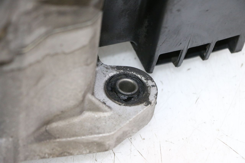 photo de ENGINE PEUGEOT TWEET PRO CARGO 50 (2018 - 2020)