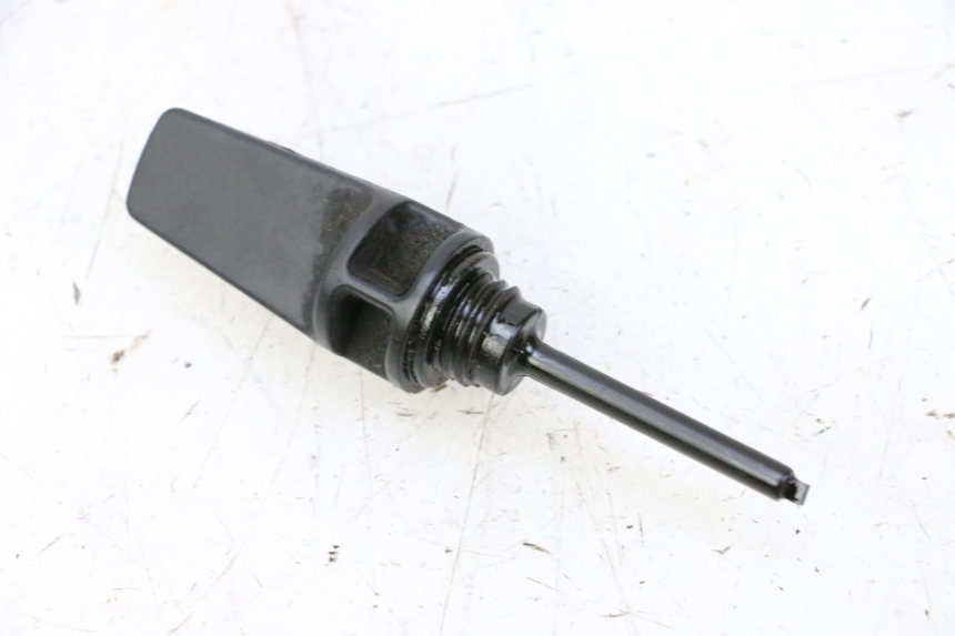 photo de ENGINE PEUGEOT TWEET PRO CARGO 50 (2018 - 2020)