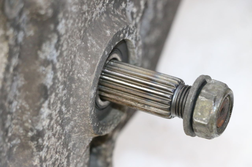 photo de ENGINE PEUGEOT TWEET PRO CARGO 50 (2018 - 2020)