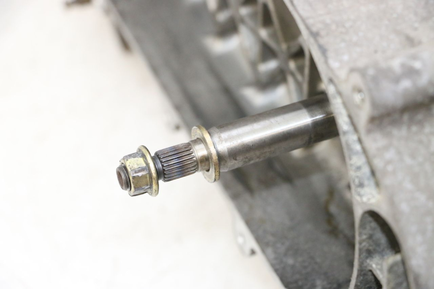 photo de ENGINE PEUGEOT TWEET PRO CARGO 50 (2018 - 2020)