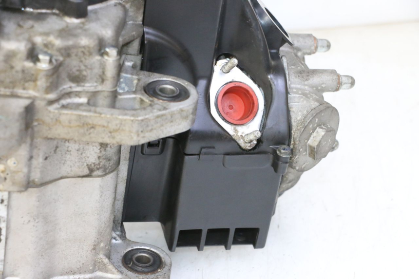 photo de ENGINE PEUGEOT TWEET PRO CARGO 50 (2018 - 2020)