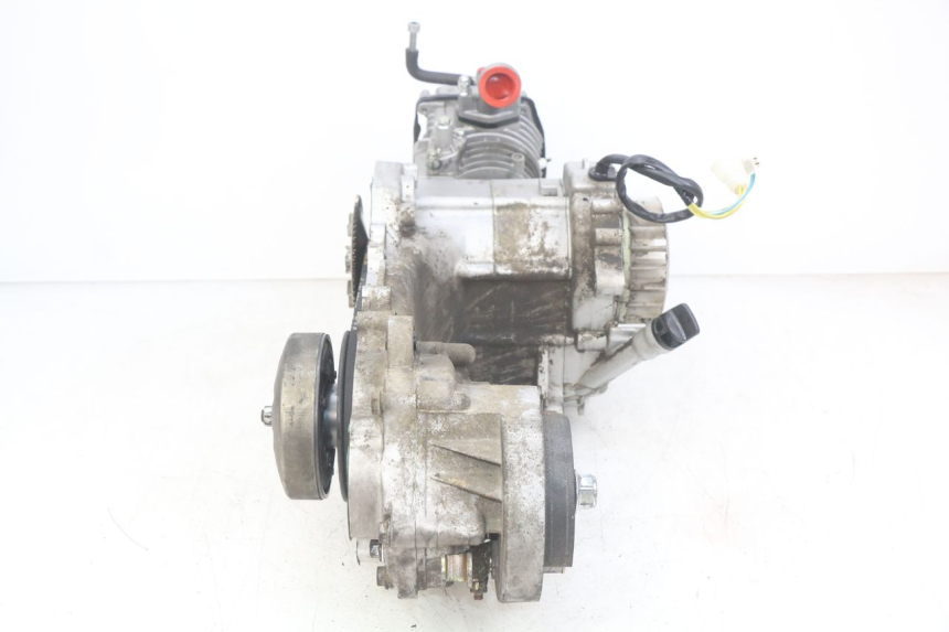 photo de ENGINE UNIVERSAL BIKE ZN50QT-11B 50 (2018 - 2021)