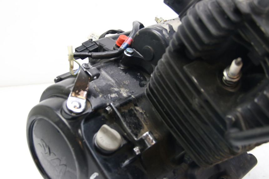 photo de ENGINE SYM WOLF SB 125 (2011 - 2018)