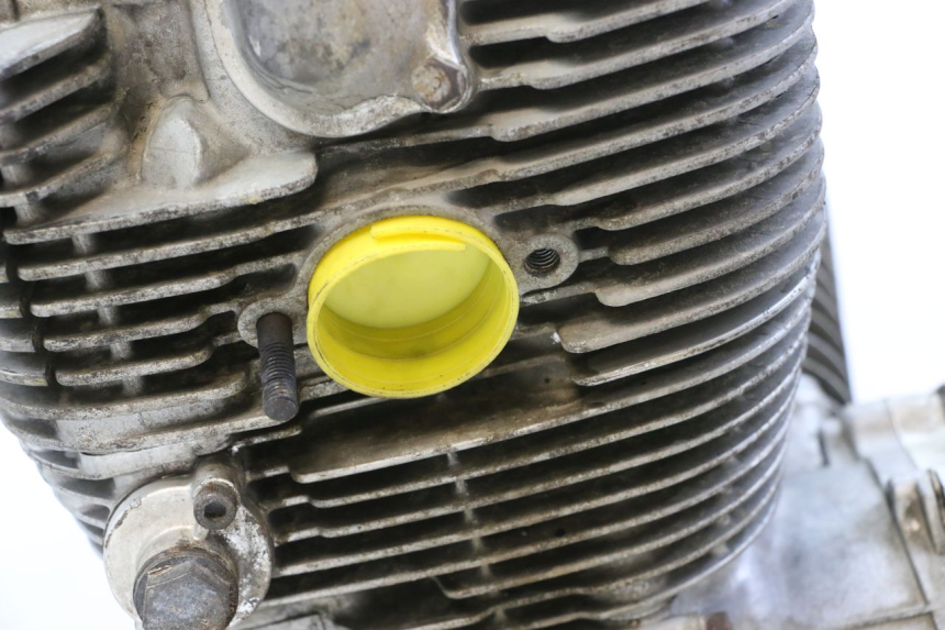 photo de ENGINE YAMAHA XV VIRAGO 535 (1988 - 2004)