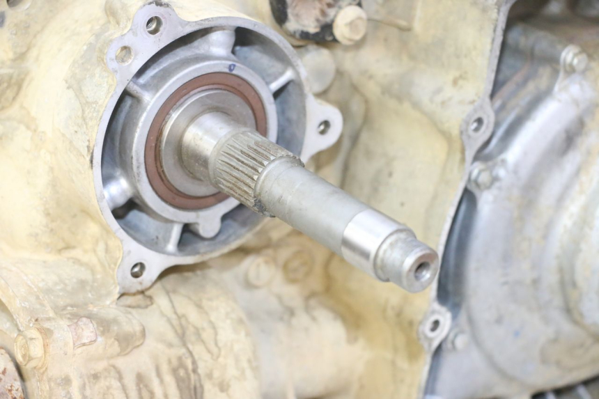 photo de ENGINE YAMAHA YFM GRIZZLY 550 (2008 - 2015)