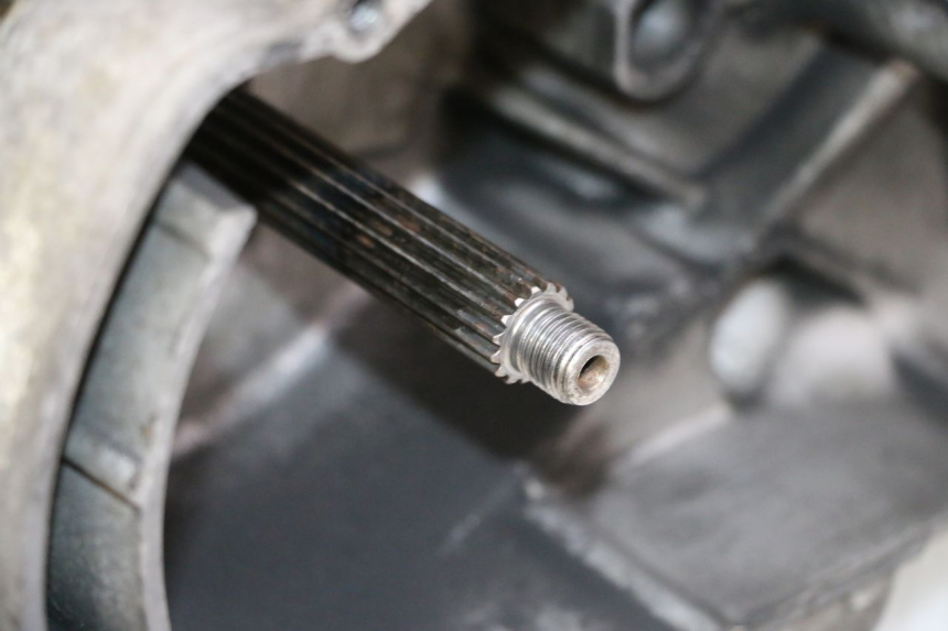 photo de ENGINE YAMAHA YP MAJESTY 125 (2002 - 2006)
