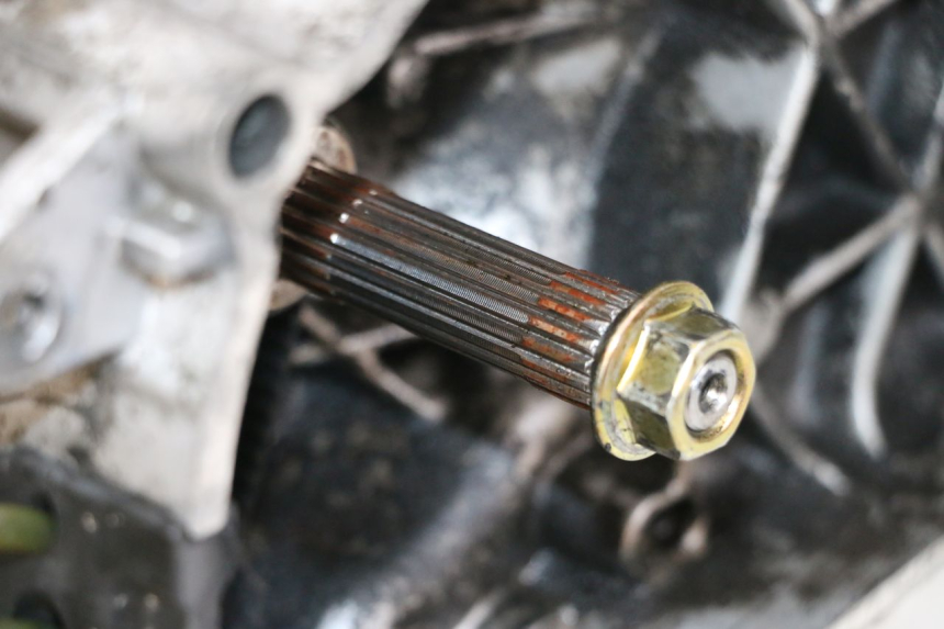 photo de ENGINE PIAGGIO ZIP 2T 50 (2009 - 2019) - Detailed visual inspection