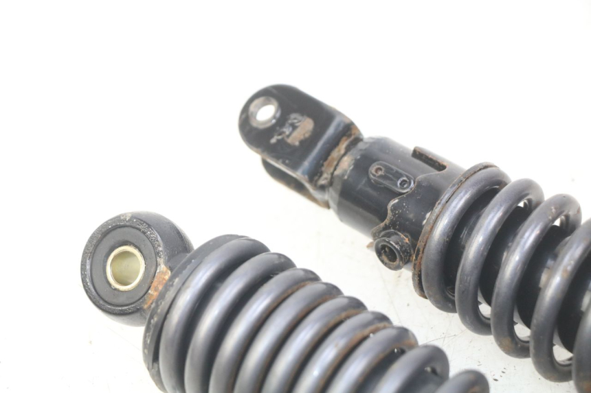 photo de REAR SHOCK ABSORBER PAIR ECCITY ARTELEC 670 1 (2013 - 2017)