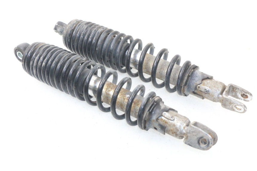 photo de REAR SHOCK ABSORBER ERIDER CARGO 1 (2009 - 2018)