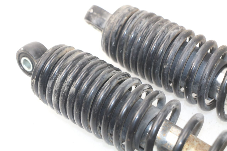 photo de REAR SHOCK ABSORBER ERIDER CARGO 1 (2009 - 2018)