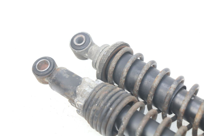 photo de REAR SHOCK ABSORBER PAIR PIAGGIO X9 EVOLUTION 125 (2003 - 2007)