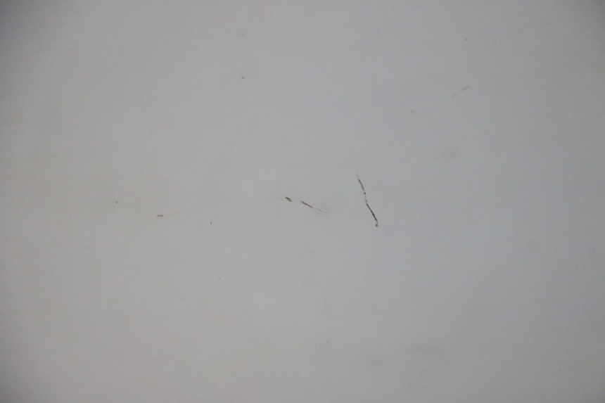 photo de WINDSCREEN HONDA FES S-WING SWING ABS 125 (2007 - 2015)