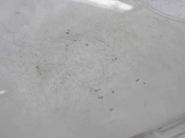 photo de WINDSCREEN SUZUKI SV S 650 (1999 - 2002)