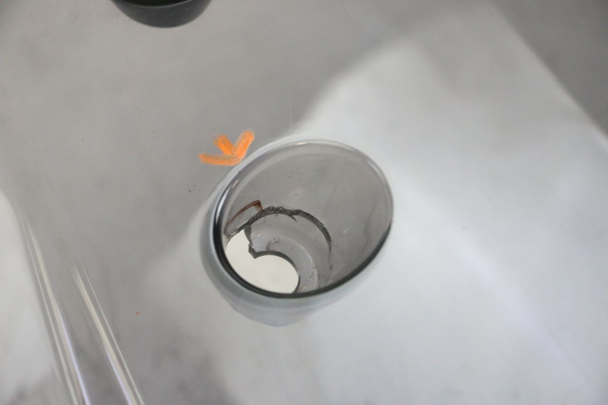 photo de WINDSCREEN YAMAHA YP MAJESTY 125 (2002 - 2006) - Distinctive features