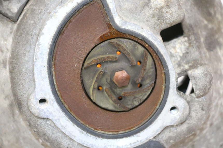 photo de WATER PUMP PIAGGIO MP3 125 (2006 - 2014)