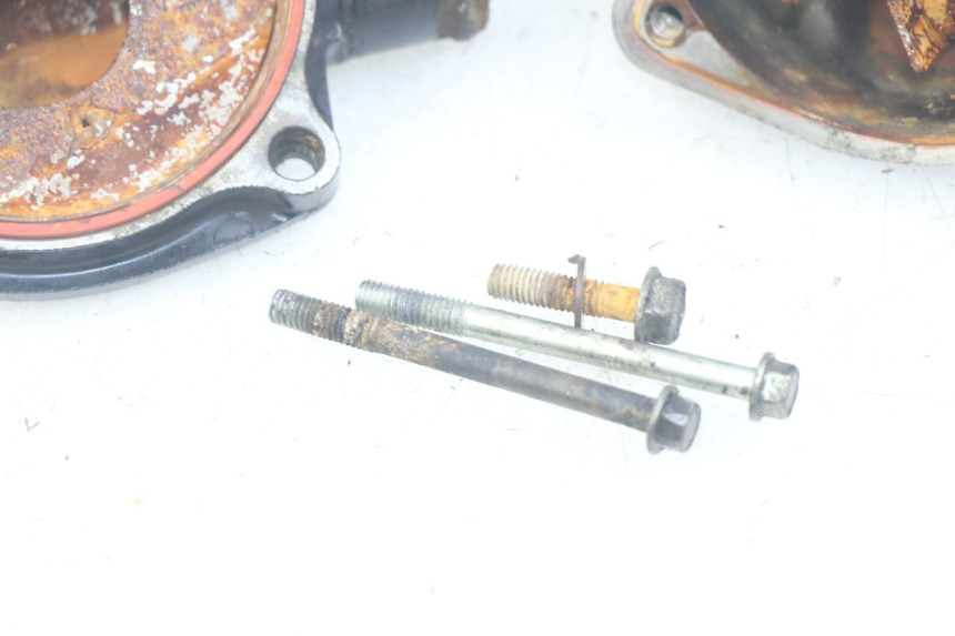 photo de WATER PUMP TRIUMPH SPRINT ST 955 (1999 - 2001)