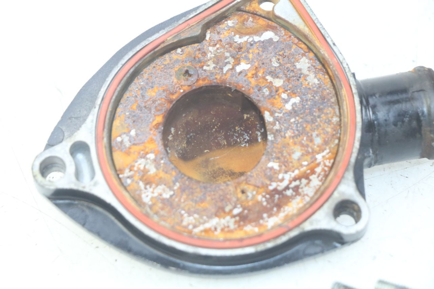 photo de WATER PUMP TRIUMPH SPRINT ST 955 (1999 - 2001)