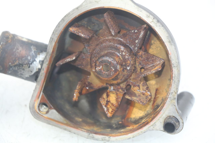 photo de WATER PUMP TRIUMPH SPRINT ST 955 (1999 - 2001)