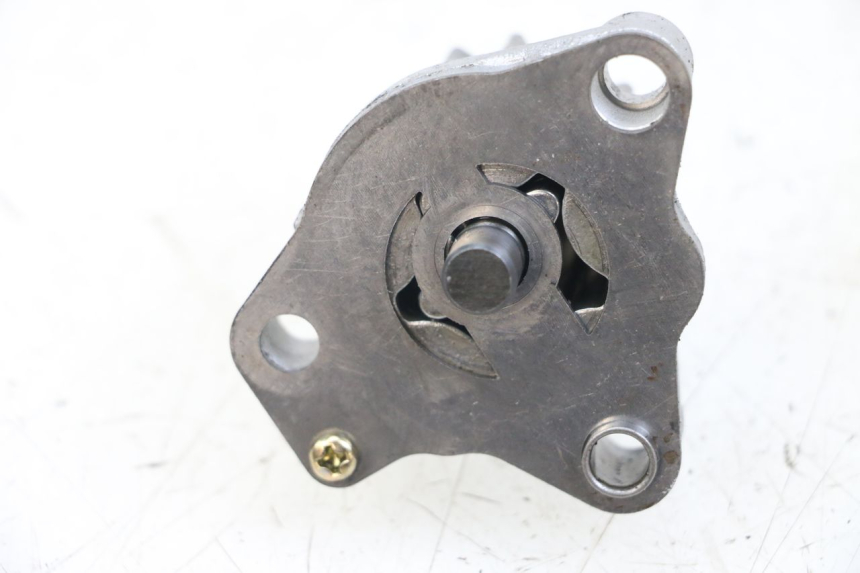 photo de OIL PUMP HYOSUNG GV AQUILA 125 (2000 - 2004)
