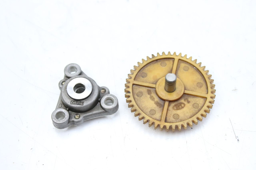 photo de OIL PUMP TNT MOTOR BOSTON 4T 50 (2018 - 2025)