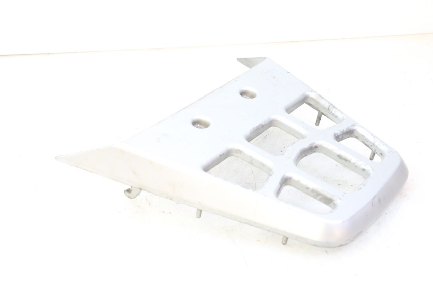 photo de LUGGAGE RACK DAELIM HISTORY 125 (2001 - 2002)