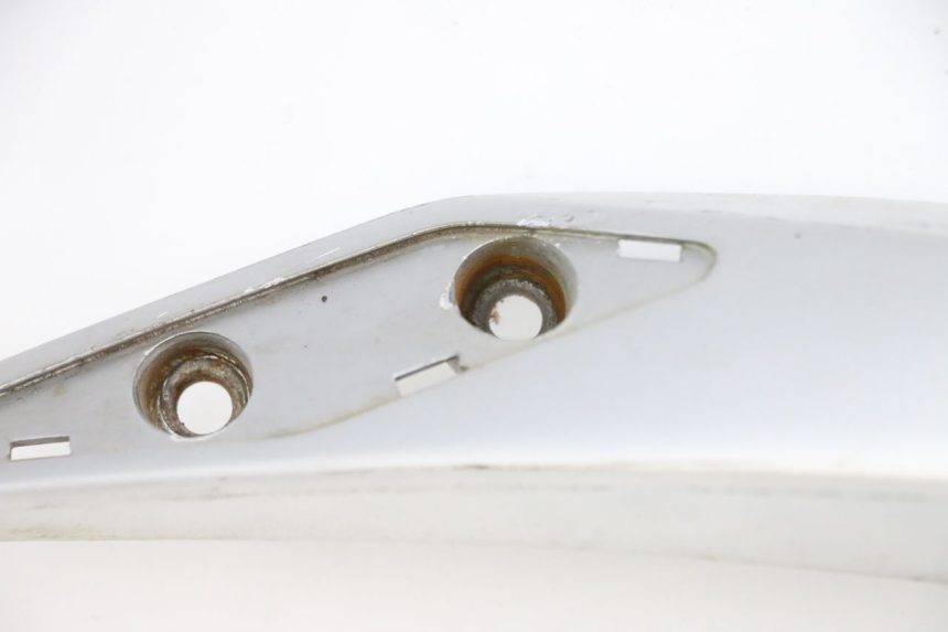 photo de LUGGAGE RACK PEUGEOT SATELIS 250 (2006 - 2012)