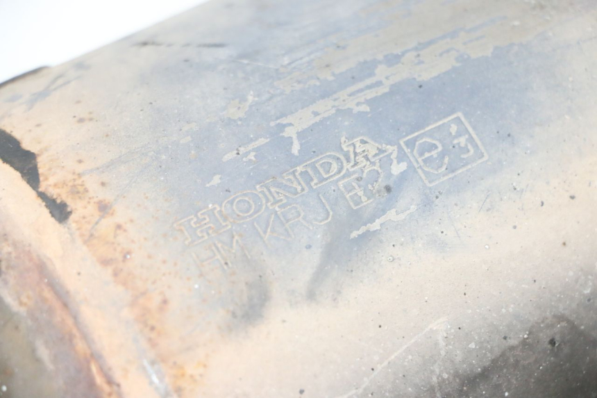 photo de EXHAUST PIPE HONDA FES S-WING SWING ABS 125 (2007 - 2015)