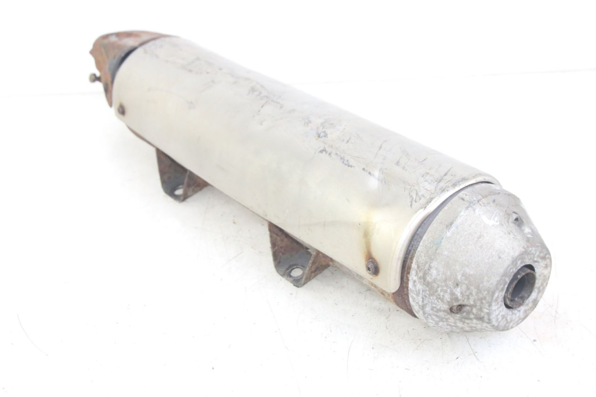 photo de EXHAUST PEUGEOT GEOPOLIS RS 125 (2007 - 2009)