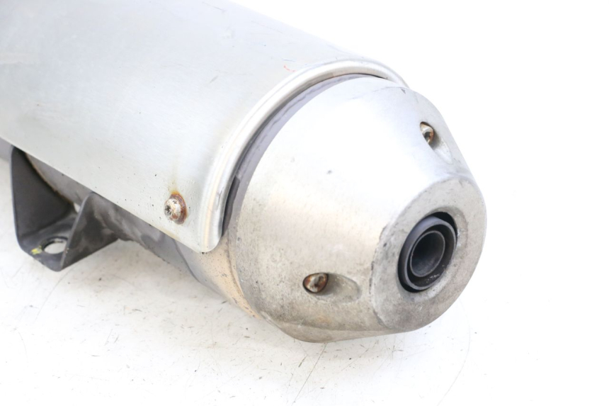 photo de EXHAUST PEUGEOT GEOPOLIS RS 125 (2007 - 2009)