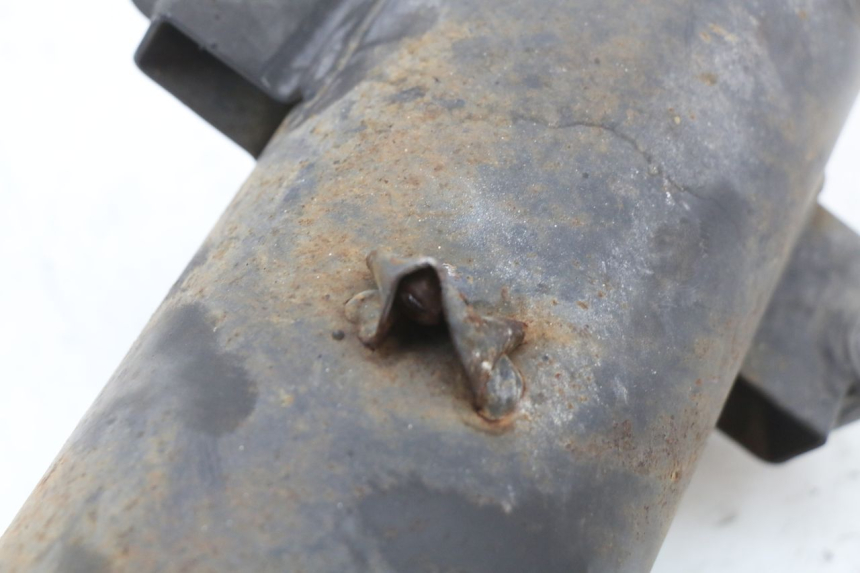 photo de EXHAUST LONGJIA EASY MAX 125 (2020 - 2024)