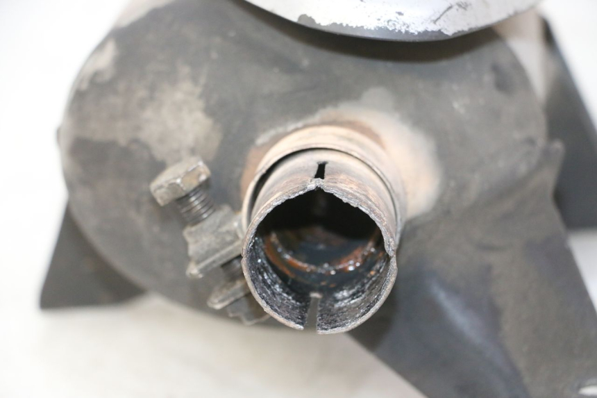 photo de EXHAUST PIAGGIO MP3 RL 250 (2007 - 2010)