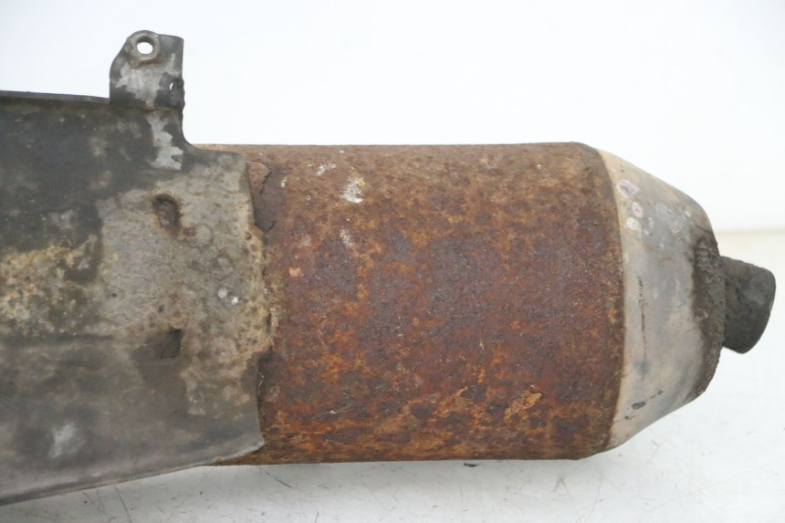 photo de EXHAUST PEUGEOT CITYSTAR 2T 50 (2018 - 2021)