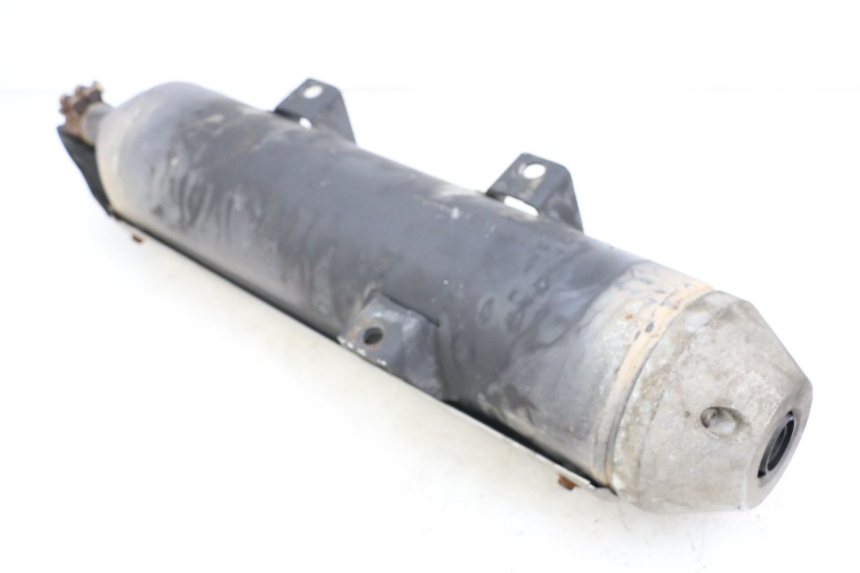 photo de EXHAUST PEUGEOT GEOPOLIS RS 125 (2007 - 2009)