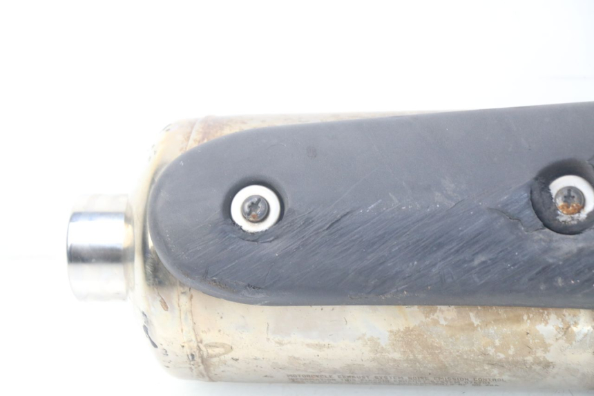 photo de EXHAUST PEUGEOT SATELIS 500 (2007 - 2013)