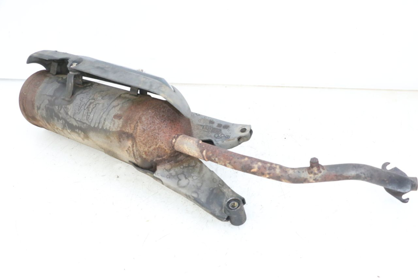 photo de EXHAUST PEUGEOT TWEET PRO CARGO 50 (2018 - 2020)