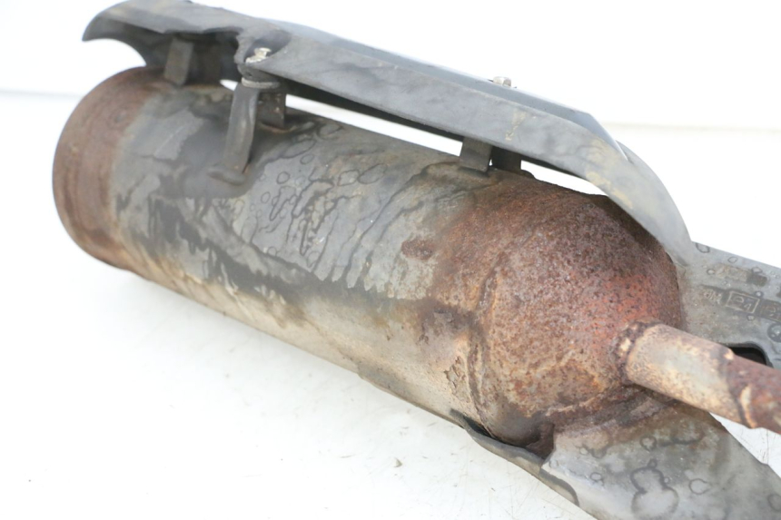 photo de EXHAUST PEUGEOT TWEET PRO CARGO 50 (2018 - 2020)